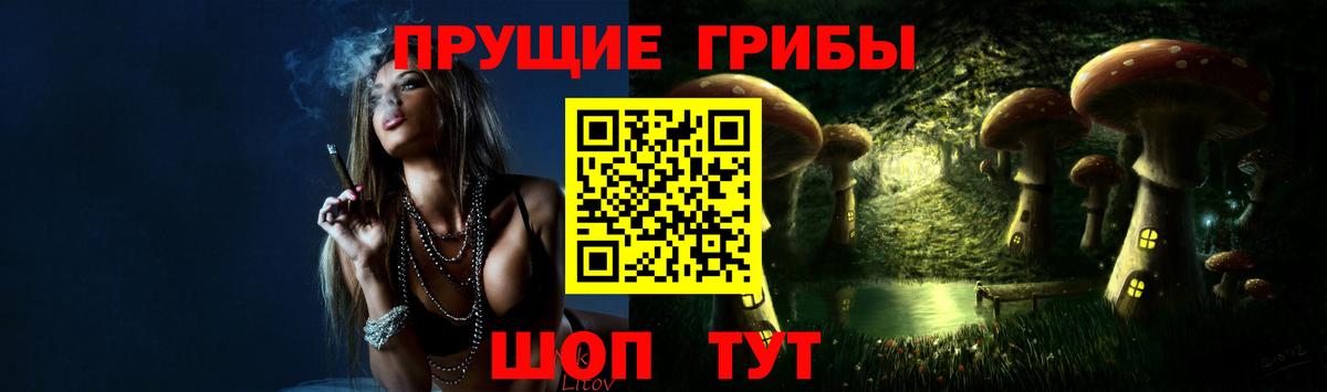 Заводоуковск  Галлюциногенные грибы мицелий  Вход с VPN 